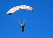 开云体育平台APP-赛道上的新秩序，哈斯完胜威廉姆斯，诺里斯闪耀全场