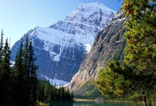 开云体育直播-迪马利亚的魔法时刻，阿尔及利亚如何用战术智慧淘汰日本，书写非洲足球新篇章