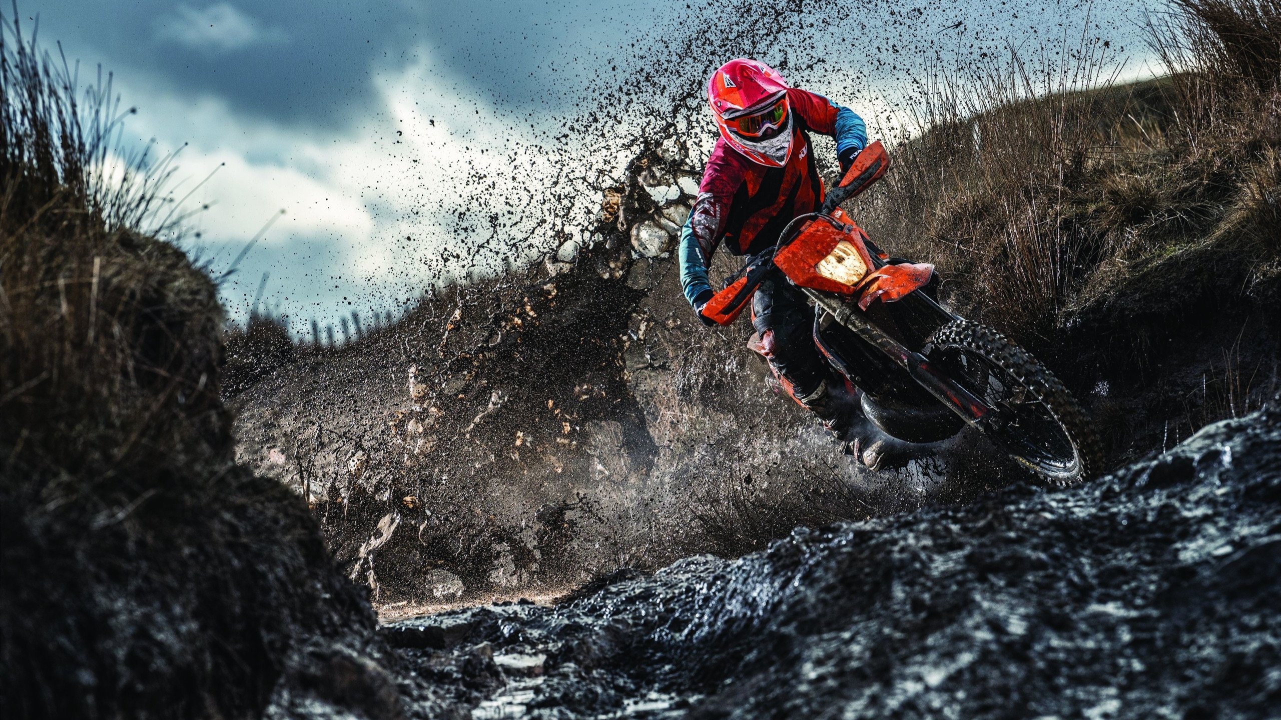 南大王铁蹄踏破郁金香，凯恩统帅拜仁横扫荷兰，诠释德式足球的统治力